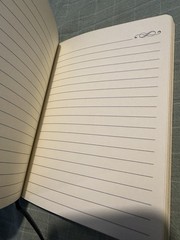 Markings By C R GIBSON Journal Embossed Cover Lined Pages 6.75×4.75” EUC