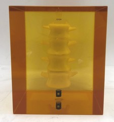 Hologic DPA/QDR-1 Bone Densitometer Anthropomorphic Spine Phantom 030-1967