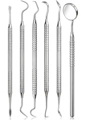 6-Pack Dental Teeth Cleaning Hygiene Kit w/Tooth Scraper Plaque Tartar Remover