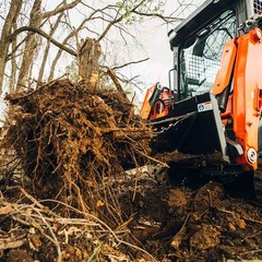 Titan Attachments Economy Series Stump Bucket Tree Scoop V2, Skid Steer Quick Ta
