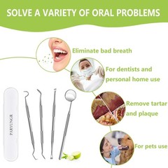 Dental Tools, Professional Teeth Cleaning Oral Care Hygiene Kit, Stainless Steel