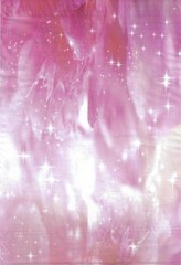 100 10×13 Pink Peony Designer Poly Mailers Envelopes Boutique Custom Bags