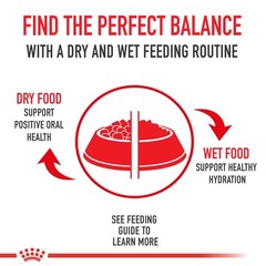 Royal Canin Size Health Nutrition Small Adult Dry Dog Food, 30 lb Bag
