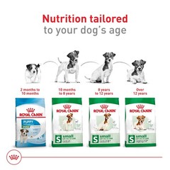Royal Canin Size Health Nutrition Small Adult Dry Dog Food, 30 lb Bag