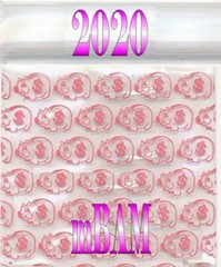 100 PACK PIGGY BANKS 125125 APPLE MINI ZIP BAGGIES 1.25×1.25″