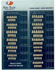 Dental Laboratory Complete Set Denture Partials Acrylic Resin Teeth Various Size