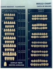 Dental Laboratory Complete Set Denture Partials Acrylic Resin Teeth Various Size