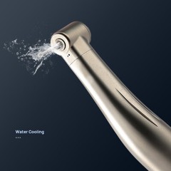 Dental 1:1 Fiber Optic Handpiece Internal Spray Contra Angle Push Button E-Type