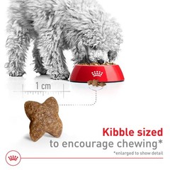 Royal Canin Size Health Nutrition Small Adult Dry Dog Food, 30 lb Bag