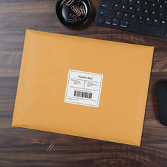12 x 15-1/2 Clasp Envelopes, Clasp and Gummed Closures, for Oversized Papers, Dr