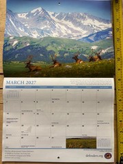 Defenders of Wildlife – 2027 – 18-Month WALL Calendar – Nature Photography!