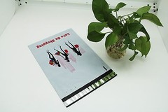 100 10×13 Lets Go Shopping Designer Poly Mailers Envelopes Boutique Custom Bags