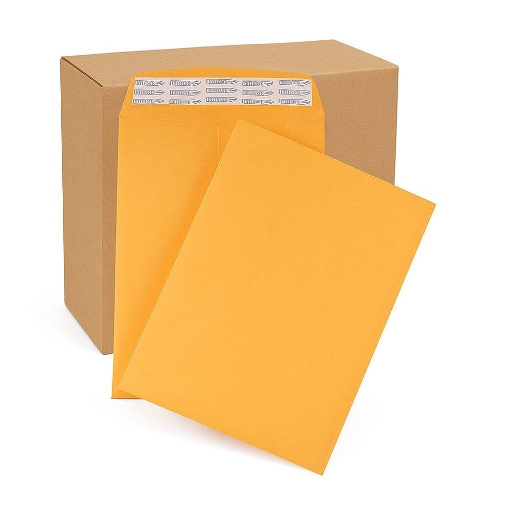 250 – Pack 6″x9″ Kraft Catalog Mailing Envelopes Mailers Peel Self Seal