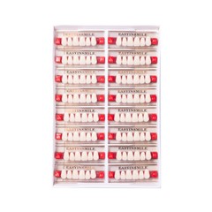 Dental Acrylic Resin Denture False Teeth Upper Lower Full Set A1/A2/A3 Shade USA