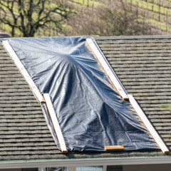 Farm Plastic Supply – Poly Cover Black Polyethylene Plastic Sheeting