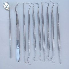 Dental Teeth Cleaning Kit Dentist Floss Plaque Remover Oral Care Tooth Tool 10PS