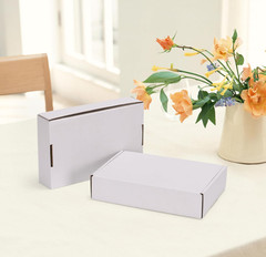 6x4x1 Shipping Boxes Set of 30, White Corrugated Cardboard Mailer Box for Packin