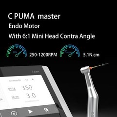 COXO C PUMA Master Dental Brushless Electric Endo Motor 6:1 1:5/1:4.2 Handpiece