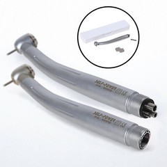 Dental High Speed LED Handpiece Standard Head Push E-Type 2/4Hole *US Stock*