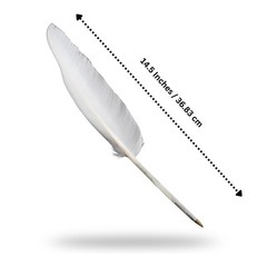 Fancy White Goose Feather Pen Black Ink Ballpoint Wedding, Office, Signing Quill
