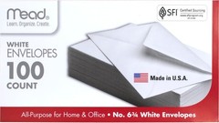 Meadwestvaco 100 Count White Gummed Security Envelopes, 6 3/4″ for Business Use
