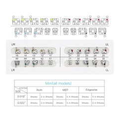 AZDENT Dental Orthodontic Brackets/Niti Arch Wire Round/Rectangular Ovoid/Nature
