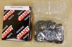 Genuine Giant Parts 09566 Valve Assembly Kit for P470 Pumps 9566