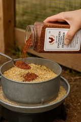Chicken Dewormer Powder-Chili Mix , All-Natural Formula, 1LB Jar, US-Made
