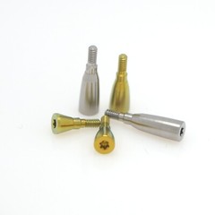 Dental Healing Abutment Caps NC/RC Cover Screw fits ITI Straumann BL/BLT