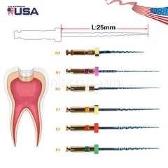 Dental Endo Super Niti Files Rotary Root Canal Engine File Tips CE 6pcs