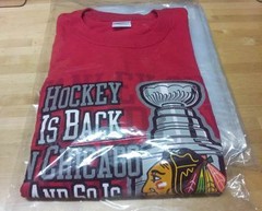 9×12-12×15-12×16 Poly T Shirt Clear Plastic Bags 2″-3″ Flap25-50-100-200-300-500