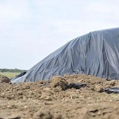 6 mil Plastic Sheeting Roll Tarp Cover Extra Heavy Duty Paint 12 x 100 Black