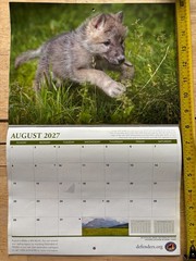 Defenders of Wildlife – 2027 – 18-Month WALL Calendar – Nature Photography!