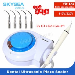 NEW Ultrasonic Dental Scaler Handpiece Tips fit Cavitron/EMS DTE/SATELEC 5TYPES