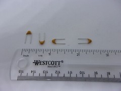 20 Pcs Pack Lot Multilayer Ceramic Capacitor 100nF 0.1uF 104 50V 20% Monolithic