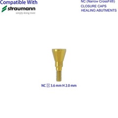 US Dental Healing Abutment Closure Fit Straumann ITI Mini Regular