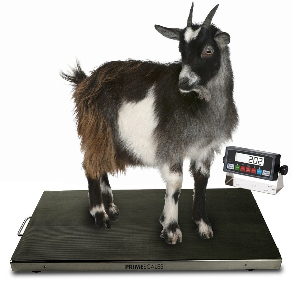 New PS-700AS 700×0.1lb 44″x22″ Vet Scale / Animal Scale / Small Livestock Scale