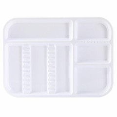 Dental Autoclavable 135ºC Plastic Trays Standard Divided Container Instruments