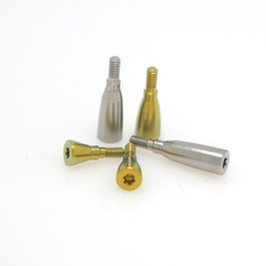 Locator/Healing Abutments for Straumann ITI Bone Level BL/BLT NC/RC Closure Cap