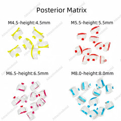 Clear Matrix Dental Anterior Posterior Transparent BT Matrices Fit BioClear USA