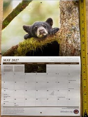 Defenders of Wildlife – 2027 – 18-Month WALL Calendar – Nature Photography!