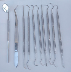 Dental Teeth Cleaning Kit Dentist Floss Plaque Remover Oral Care Tooth Tool 10PS