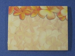 Aloha Stick ‘N Notes – 50 Sheets / Plumerias – Designed in Hawaii / Swift