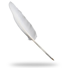 Fancy White Goose Feather Pen Black Ink Ballpoint Wedding, Office, Signing Quill