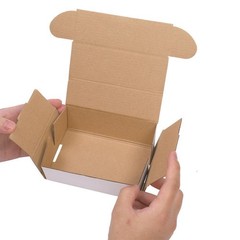 50 – 6x4x2 White Corrugated Shipping Mailer Carton Packing Fold Box