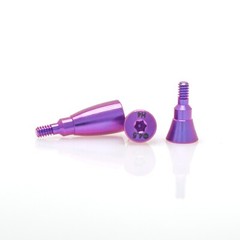 Fits ITI Straumann BL/BLT Dental NC/RC Healing Abutment Caps Cover Screw