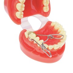 20Pcs/Pack Dental Saddle Contoured Matrix Metal Matrices Bands Spring clip